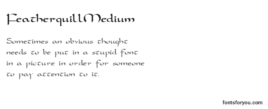 FeatherquillMedium Font