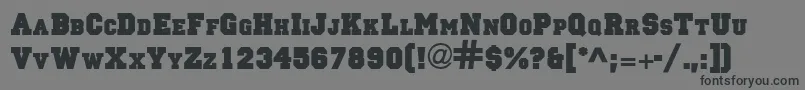 PrincetownSolidNormal Font – Black Fonts on Gray Background