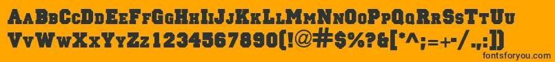PrincetownSolidNormal Font – Black Fonts on Orange Background