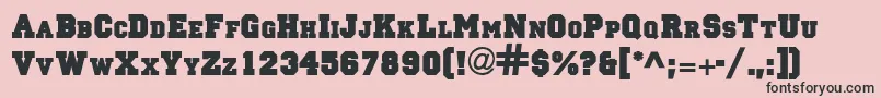 PrincetownSolidNormal Font – Black Fonts on Pink Background