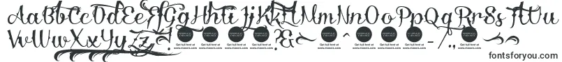 Шрифт DemoDelinquente – надписи красивыми шрифтами