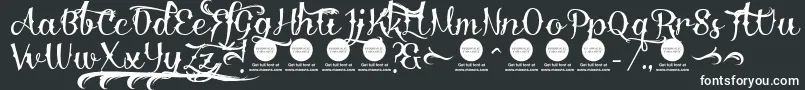 DemoDelinquente Font – White Fonts on Black Background