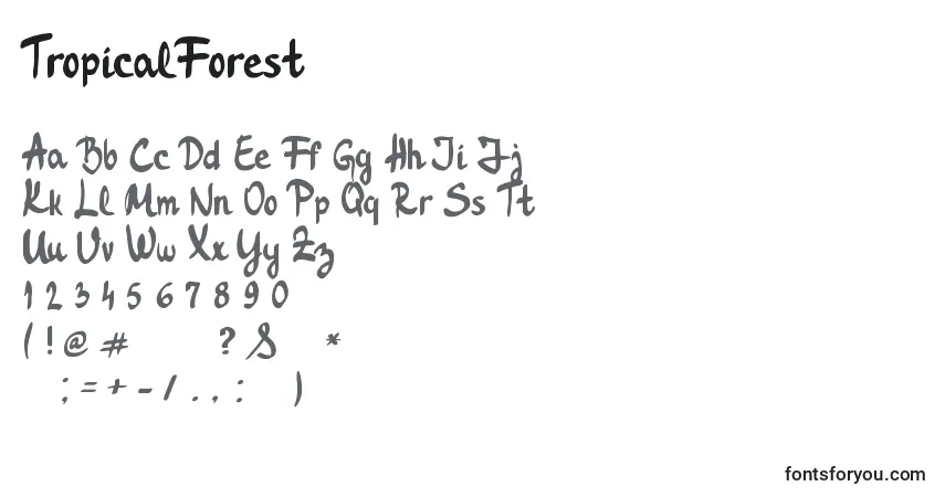 A fonte TropicalForest – alfabeto, números, caracteres especiais