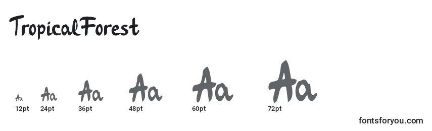TropicalForest Font Sizes
