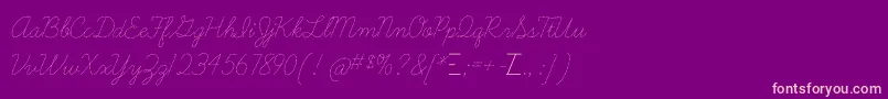 LearningcurvedashedOt Font – Pink Fonts on Purple Background