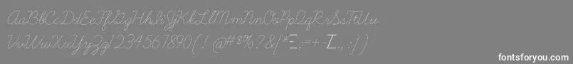 フォントLearningcurvedashedOt – 灰色の背景に白い文字