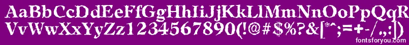 LeamingtonrandomBold Font – White Fonts on Purple Background