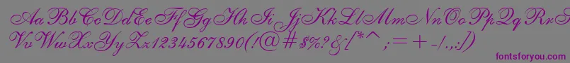 English111VivaceBt-fontti – violetit fontit harmaalla taustalla