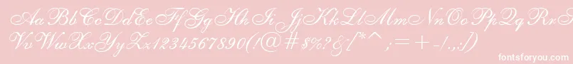 English111VivaceBt Font – White Fonts on Pink Background