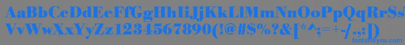 フォントBodonistdBold – 灰色の背景に青い文字