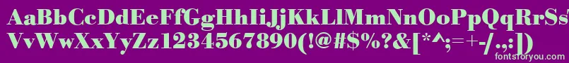 BodonistdBold Font – Green Fonts on Purple Background