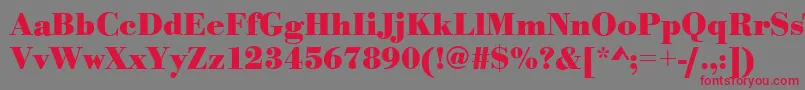 フォントBodonistdBold – 赤い文字の灰色の背景