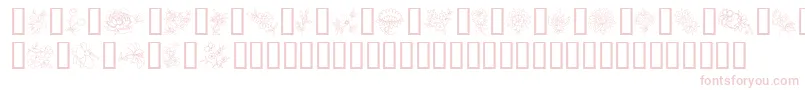 Шрифт TraditionalFloralDesignIi – розовые шрифты