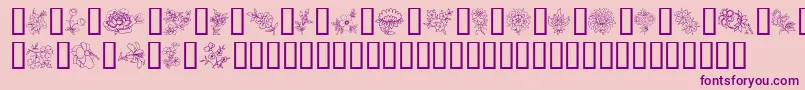 TraditionalFloralDesignIi Font – Purple Fonts on Pink Background