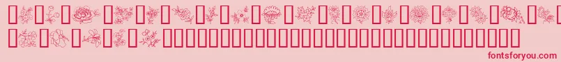 TraditionalFloralDesignIi Font – Red Fonts on Pink Background