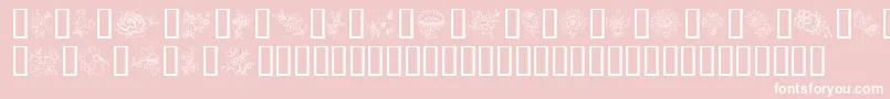 TraditionalFloralDesignIi Font – White Fonts on Pink Background