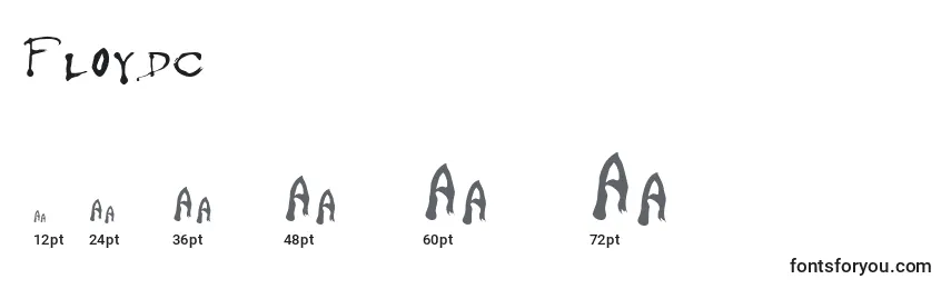 Floydc Font Sizes
