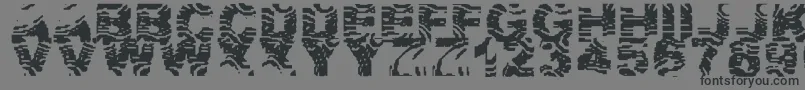 Шрифт ZebraZtripez – чёрные шрифты на сером фоне