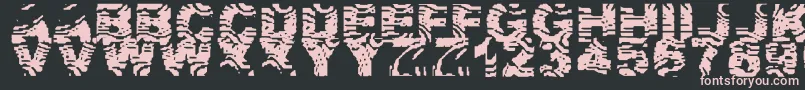 Police ZebraZtripez – polices roses sur fond noir