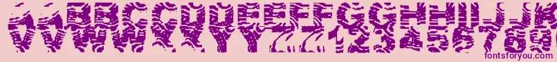 ZebraZtripez Font – Purple Fonts on Pink Background