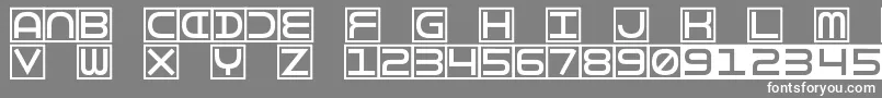 TorturerBound Font – White Fonts on Gray Background