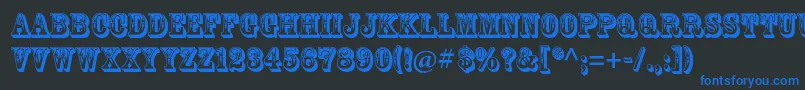 RosewoodstdRegular Font – Blue Fonts on Black Background