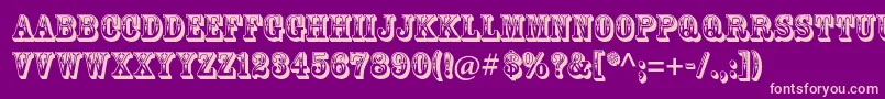 RosewoodstdRegular Font – Pink Fonts on Purple Background