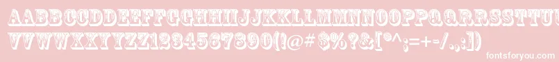 RosewoodstdRegular Font – White Fonts on Pink Background