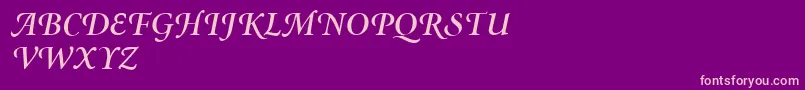 MinionSwashSemiboldItalic-Schriftart – Rosa Schriften auf violettem Hintergrund
