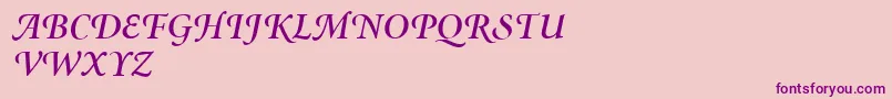 MinionSwashSemiboldItalic Font – Purple Fonts on Pink Background