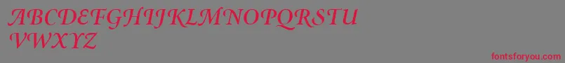 MinionSwashSemiboldItalic-Schriftart – Rote Schriften auf grauem Hintergrund