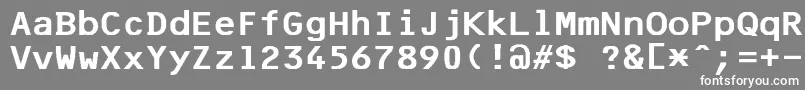 フォントF25BankPrinter – 灰色の背景に白い文字