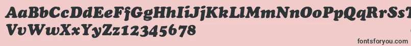 ChaceyHeavyItalic Font – Black Fonts on Pink Background