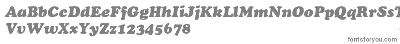 Czcionka ChaceyHeavyItalic – szare czcionki