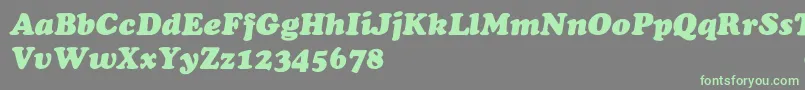 ChaceyHeavyItalic Font – Green Fonts on Gray Background
