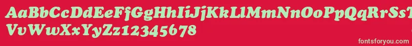 ChaceyHeavyItalic Font – Green Fonts on Red Background