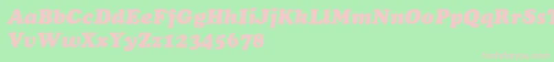 ChaceyHeavyItalic Font – Pink Fonts on Green Background