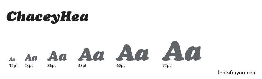 ChaceyHeavyItalic Font Sizes