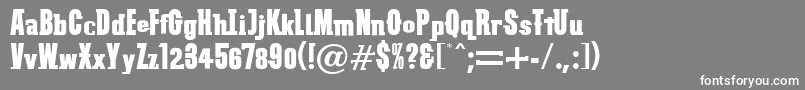 VtcSubwayslamRegular Font – White Fonts on Gray Background