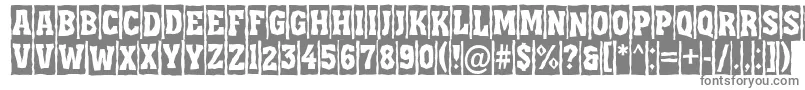 Шрифт AAssuantitulcmbrk – серые шрифты на белом фоне