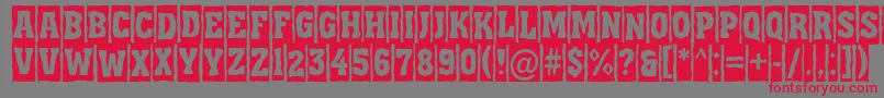 AAssuantitulcmbrk-Schriftart – Rote Schriften auf grauem Hintergrund