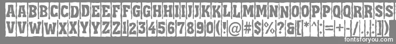 AAssuantitulcmbrk-Schriftart – Weiße Schriften auf grauem Hintergrund