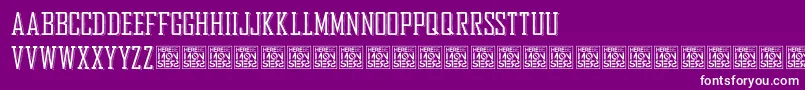 HbmBureauTrendDonationware Font – White Fonts on Purple Background