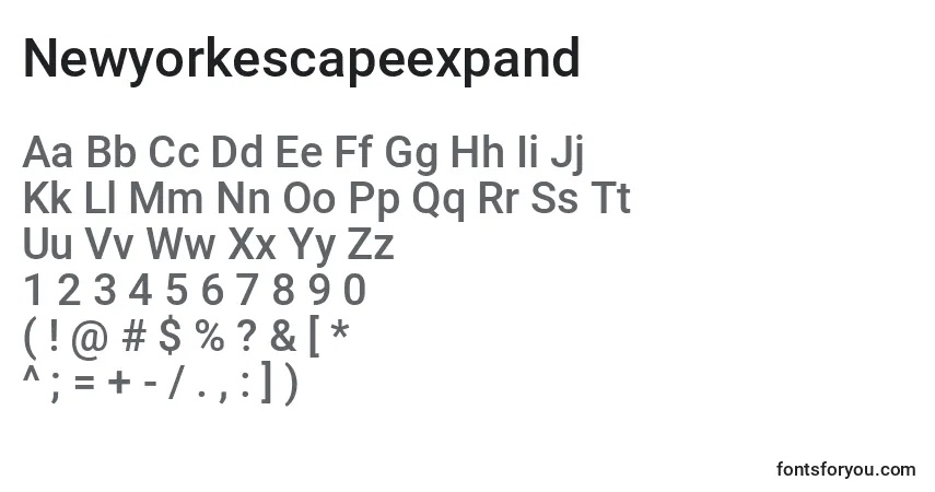 Czcionka Newyorkescapeexpand – alfabet, cyfry, specjalne znaki