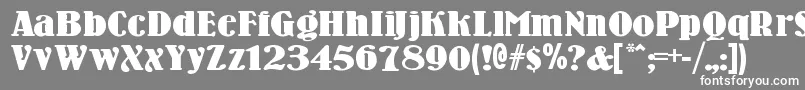 Woodennickelblack Font – White Fonts on Gray Background