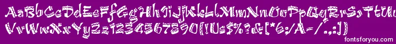 ArribaArribaLetPlain.1.0 Font – White Fonts on Purple Background
