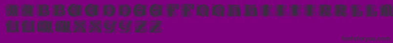Paulusfranckinitialen Font – Black Fonts on Purple Background