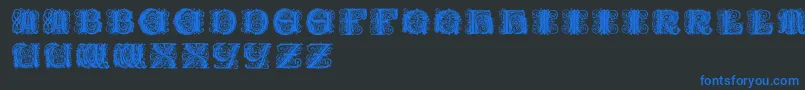 Paulusfranckinitialen Font – Blue Fonts on Black Background