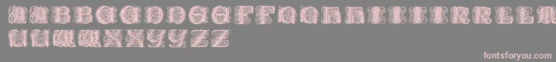 More about Paulusfranckinitialen Font Paulusfranckinitialen Font – Pink Fonts on Gray Background