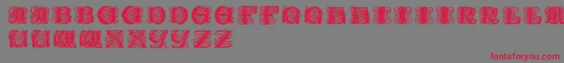 フォントPaulusfranckinitialen – 赤い文字の灰色の背景